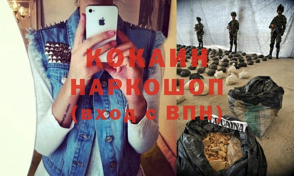 круглые Гусев