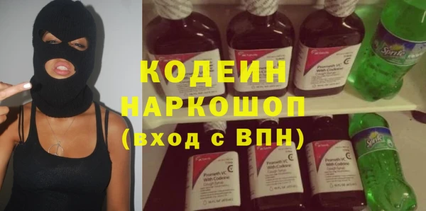 гашик Гусь-Хрустальный