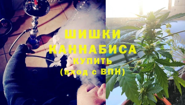 молекула духа Дмитриев