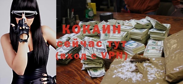 стаф Дмитровск