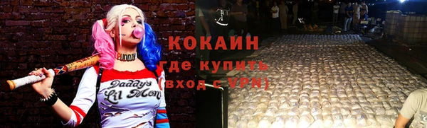 круглые Гусев