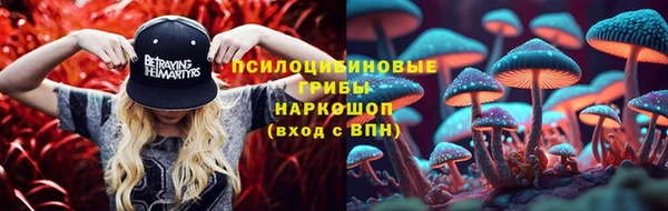 молекула духа Дмитриев