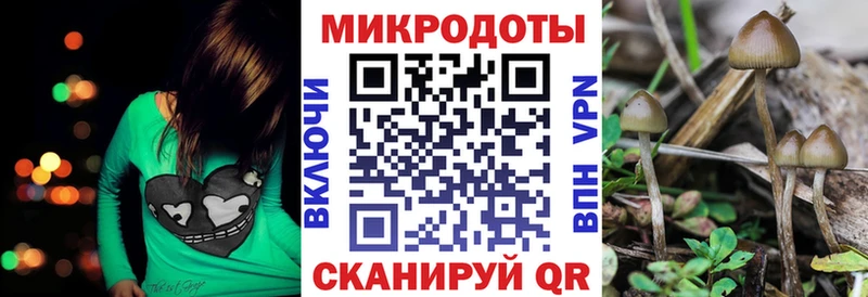 мега ТОР  Волгодонск  Псилоцибиновые грибы Psilocybine cubensis  наркошоп 