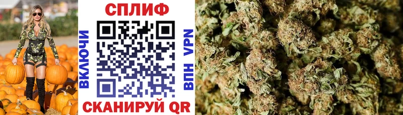 что такое наркотик  Волгодонск  Конопля Bruce Banner 